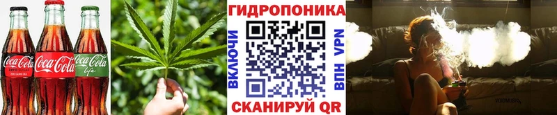 купить закладку  Тулун  Cannafood марихуана 