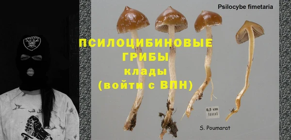 spice Сосновка