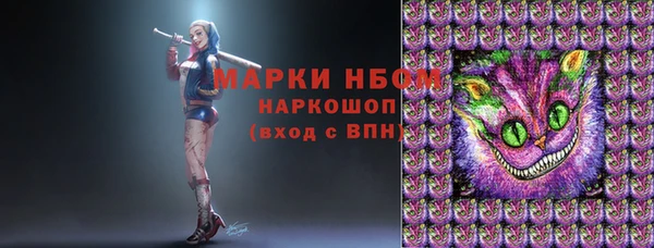 соль ск Белокуриха