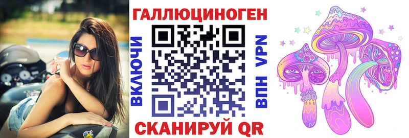 Галлюциногенные грибы Psilocybine cubensis  Тулун 